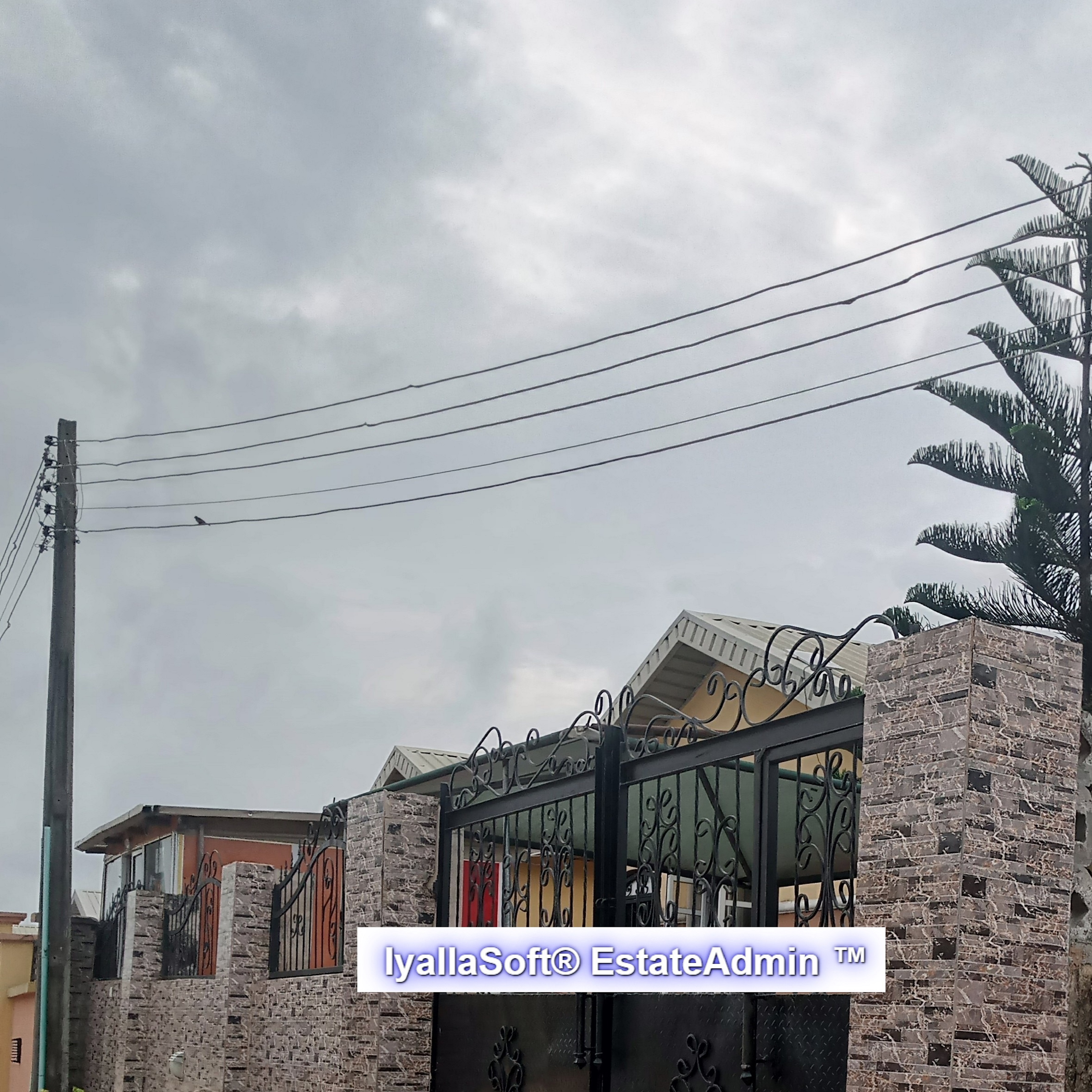 Teju Royal Gardens CDA